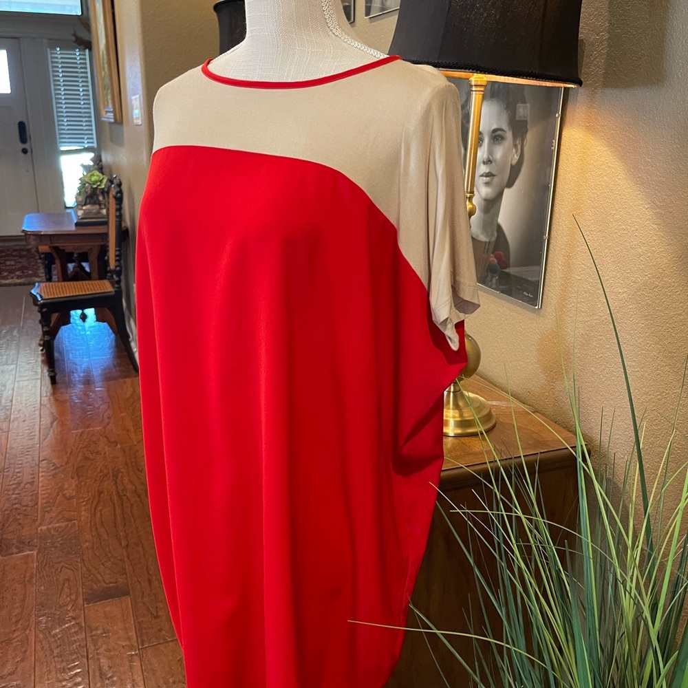 Chases Sully color block tunic